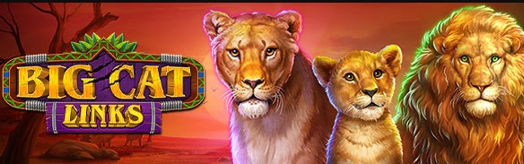 bigcatlinks.jpg