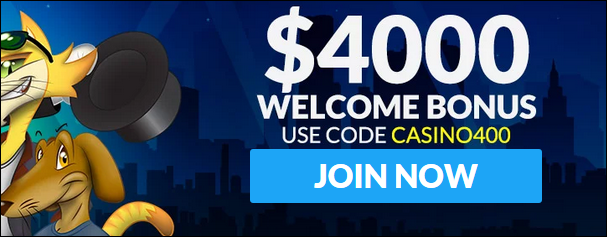 coolcatwelcome.PNG coolcatwelcome.PNG