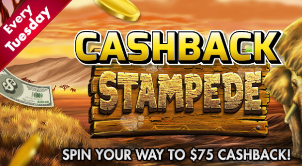 cyberspinscashbackstampede.png