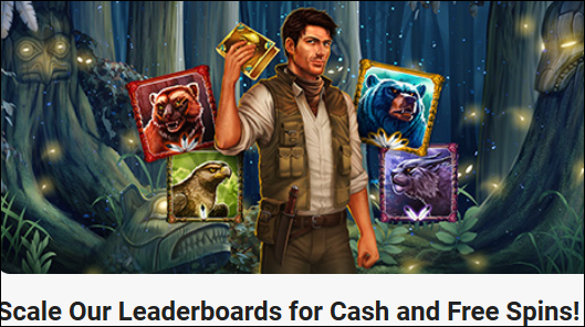 leovegasPlaynGotournament.PNG leovegasPlaynGotournament.PNG