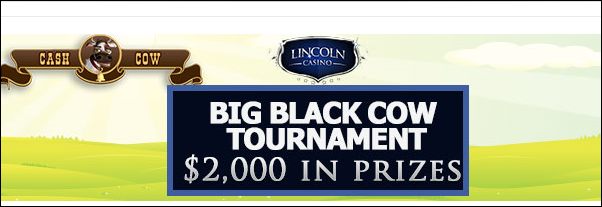 lincolnBigBlackCowtournament.PNG lincolnBigBlackCowtournament.PNG