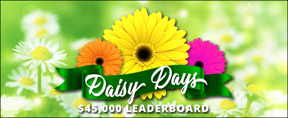 luckycreekdaisydays.PNG luckycreekdaisydays.PNG