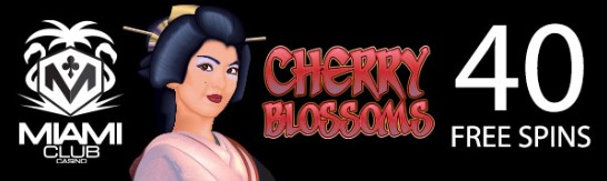 miamiclubcherryblossom40.jpg miamiclubcherryblossom40.jpg