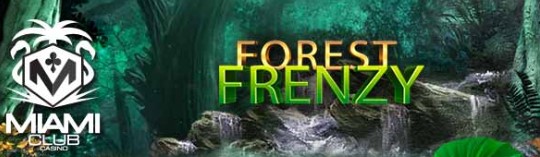 miamiclubforestfrenzy.jpg miamiclubforestfrenzy.jpg