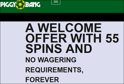 piggybang55welcome.PNG piggybang55welcome.PNG