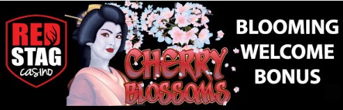 redstagbloomingwelcomebonus.jpg redstagbloomingwelcomebonus.jpg
