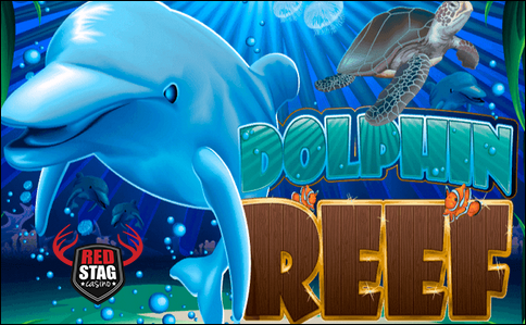 redstagdolphinreef.png