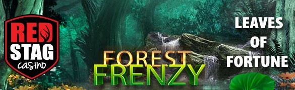 redstagforestFrenzy2.jpg