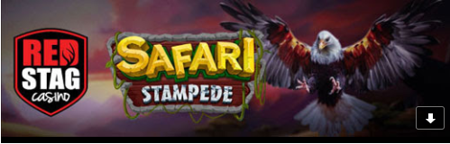 redstagsafaristampede.png redstagsafaristampede.png