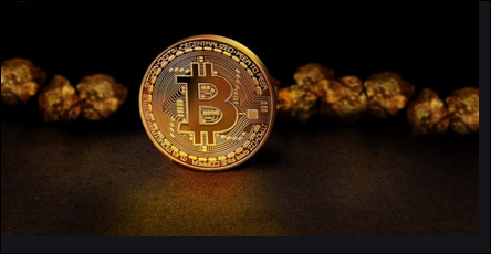 rich palms bitcoin.PNG