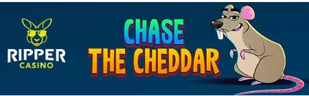 ripperchasethecheddar.jpg ripperchasethecheddar.jpg