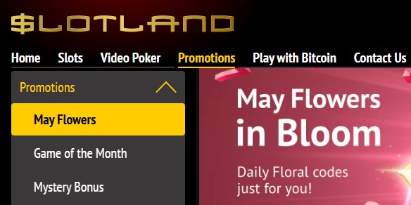 slotlandmayflowers.jpg slotlandmayflowers.jpg