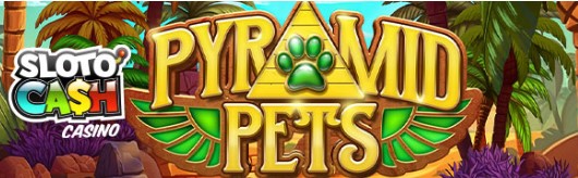 slotocashpyramidpets.jpg slotocashpyramidpets.jpg