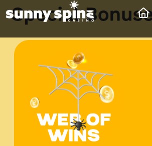 sunnyspinswebofwins.jpg