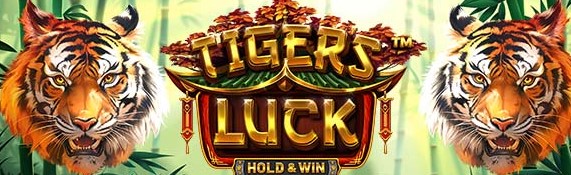 tigersluck.jpg tigersluck.jpg