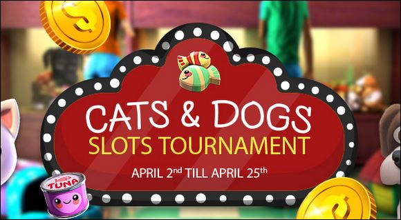 vegascrestcatsdogstournament.JPG vegascrestcatsdogstournament.JPG