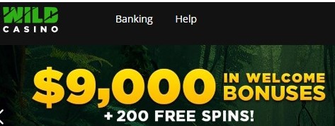 wildcasinonewsletter.jpg