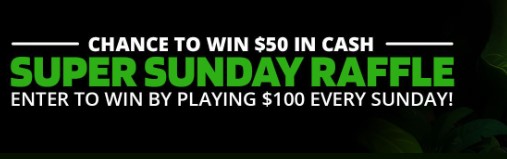 wildcasinosupersunday.jpg wildcasinosupersunday.jpg