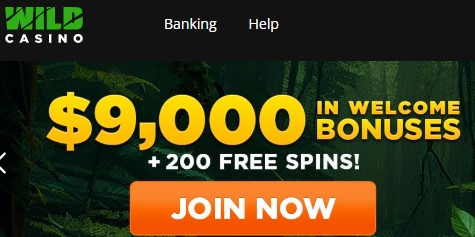 wildcasinowelcome.jpg