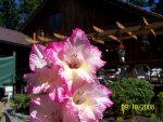 100_0908 [50%] [50%].jpg