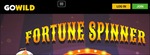 gowildfortunespinner.PNG