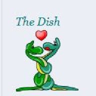 The Dish